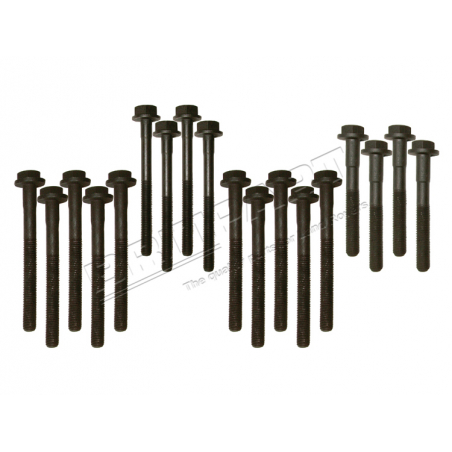 HEAD BOLT KIT 300 TDI