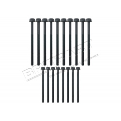 HEAD BOLT SET PUMA 2.4