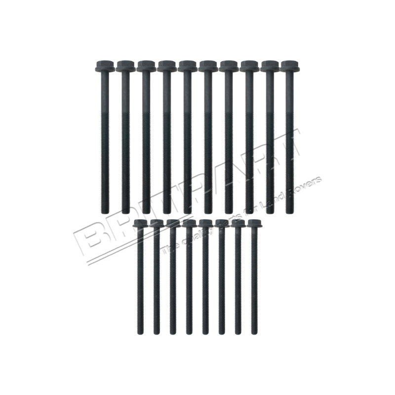 HEAD BOLT SET PUMA 2.4