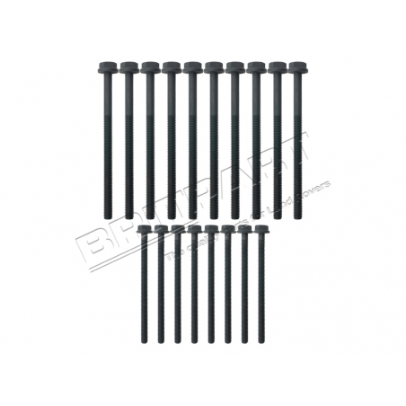 HEAD BOLT SET PUMA 2.4