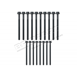 HEAD BOLT SET PUMA 2.2