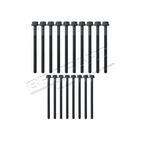 HEAD BOLT SET PUMA 2.2