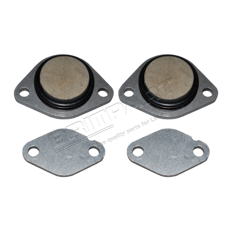 EGR VALVE BLANKING KIT