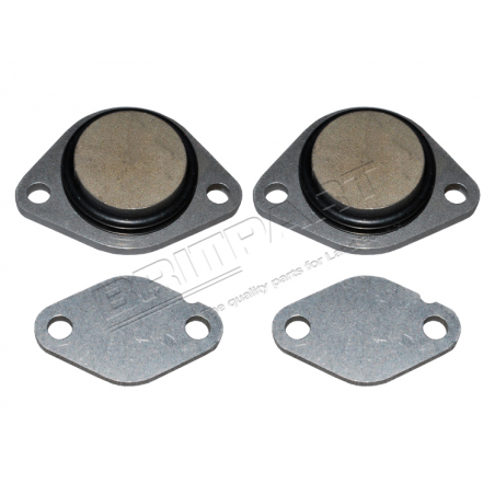 EGR VALVE BLANKING KIT