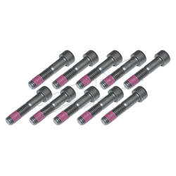 DRIVE FLANGE BOLT SET OF 10