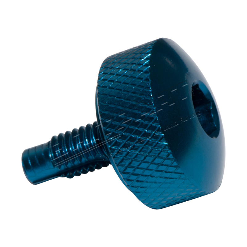 BLEED SCREW ALLOY BLUE