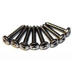 FRONT GRILLE SCREW KIT S/S
