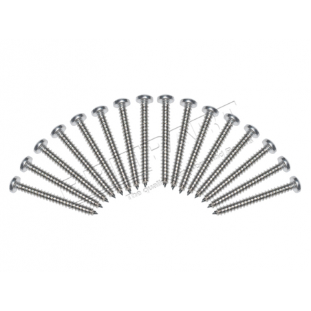 LIGHT SCREW S/S DEFENDER MA 940005 o