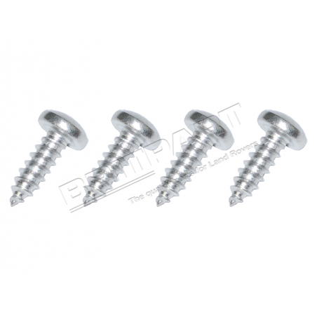 DEFENDER HEADLIGHT PANEL SCREW S/S