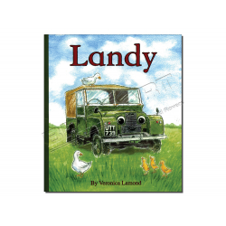 LANDY STORYBOOK